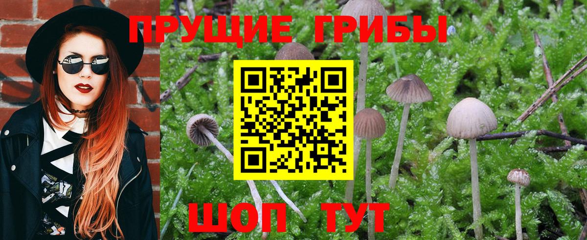 Радужный  Псилоцибиновые грибы MAGIC MUSHROOMS  Вход с VPN 
